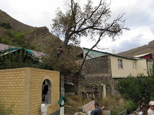 IMG_1776.JPG (5786 просмотров) <a class='original' href='./download/file.php?id=110369&mode=view' target=_blank>Загрузить оригинал (394.01 КБ)</a>