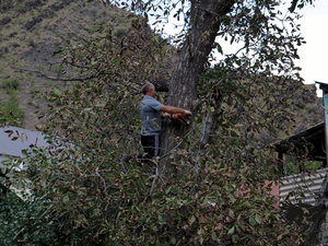 IMG_1777.JPG (5786 просмотров) <a class='original' href='./download/file.php?id=110370&mode=view' target=_blank>Загрузить оригинал (486.39 КБ)</a>