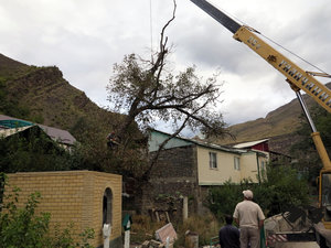 IMG_1778.JPG (5786 просмотров) <a class='original' href='./download/file.php?id=110371&mode=view' target=_blank>Загрузить оригинал (341.73 КБ)</a>