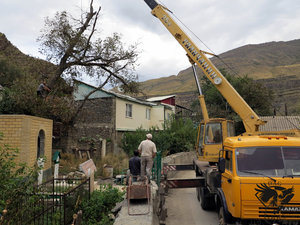 IMG_1779.JPG (5786 просмотров) <a class='original' href='./download/file.php?id=110372&mode=view' target=_blank>Загрузить оригинал (387.93 КБ)</a>