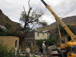 IMG_1780.JPG (5786 просмотров) <a class='original' href='./download/file.php?id=110373&mode=view' target=_blank>Загрузить оригинал (360.98 КБ)</a>