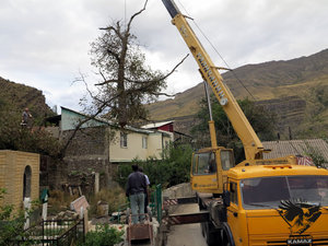 IMG_1782.JPG (5786 просмотров) <a class='original' href='./download/file.php?id=110374&mode=view' target=_blank>Загрузить оригинал (352.06 КБ)</a>