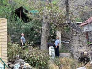 IMG_1790.JPG (5786 просмотров) <a class='original' href='./download/file.php?id=110376&mode=view' target=_blank>Загрузить оригинал (572.94 КБ)</a>