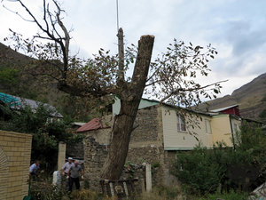 IMG_1800.JPG (5786 просмотров) <a class='original' href='./download/file.php?id=110378&mode=view' target=_blank>Загрузить оригинал (351.81 КБ)</a>