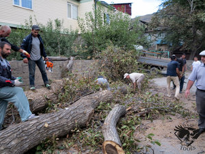 IMG_1812.JPG (5786 просмотров) <a class='original' href='./download/file.php?id=110379&mode=view' target=_blank>Загрузить оригинал (430.41 КБ)</a>