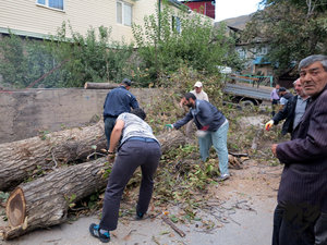 IMG_1817.JPG (5786 просмотров) <a class='original' href='./download/file.php?id=110380&mode=view' target=_blank>Загрузить оригинал (429.56 КБ)</a>