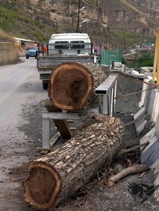 IMG_1854.jpg (5724 просмотра) <a class='original' href='./download/file.php?id=110383&mode=view' target=_blank>Загрузить оригинал (414.77 КБ)</a>