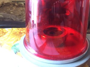 IMG_3712.JPG (3826 просмотров) <a class='original' href='./download/file.php?id=110747&mode=view' target=_blank>Загрузить оригинал (1.03 МБ)</a>