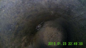 PICT4486[23-16-51].JPG (2485 просмотров) <a class='original' href='./download/file.php?id=11079&mode=view' target=_blank>Загрузить оригинал (83.82 КБ)</a>