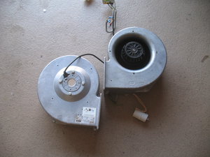 С камеры май 2017 061.JPG (5482 просмотра) <a class='original' href='./download/file.php?id=110833&mode=view' target=_blank>Загрузить оригинал (4.76 МБ)</a>