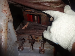 DSC00391.JPG (4071 просмотр) <a class='original' href='./download/file.php?id=111536&mode=view' target=_blank>Загрузить оригинал (1.96 МБ)</a>