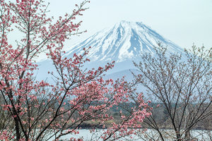 Mount_Fuji_Japan_Volcano_516334_1280x853.jpg (975.77 КБ) 22750 просмотров Оригинал (22750 просмотров) <a class='original' href='./download/file.php?id=112122&sid=5b730ef2dde97a1e6d58d1ef2f284291&mode=view' target=_blank>Загрузить оригинал (975.77 КБ)</a>