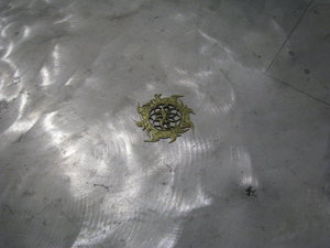 IMG_6338.JPG (4521 просмотр) <a class='original' href='./download/file.php?id=11315&mode=view' target=_blank>Загрузить оригинал (1.77 МБ)</a>