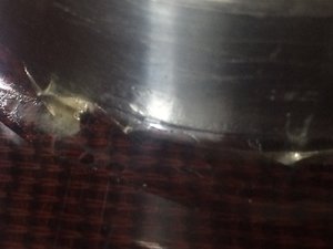 IMG_3808[1].JPG (4207 просмотров) <a class='original' href='./download/file.php?id=113162&mode=view' target=_blank>Загрузить оригинал (601.84 КБ)</a>