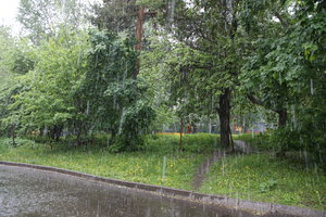 H55R4653.JPG (3520 просмотров) <a class='original' href='./download/file.php?id=113261&mode=view' target=_blank>Загрузить оригинал (14.2 МБ)</a>