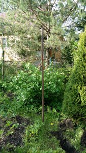 IMG_20170614_183005824.jpg (2558 просмотров) <a class='original' href='./download/file.php?id=113928&mode=view' target=_blank>Загрузить оригинал (10.49 МБ)</a>