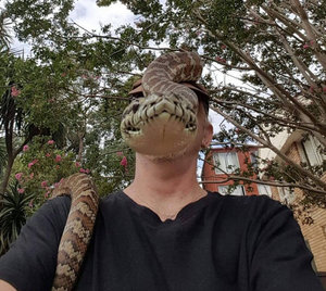 1489126096-019.jpg (3367 просмотров) <a class='original' href='./download/file.php?id=114754&mode=view' target=_blank>Загрузить оригинал (248.34 КБ)</a>