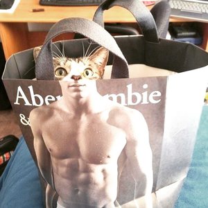 img-20170425-190522-706.jpg (3367 просмотров) <a class='original' href='./download/file.php?id=114761&mode=view' target=_blank>Загрузить оригинал (127.19 КБ)</a>