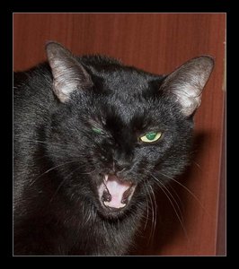 varia.jpg (8011 просмотров) <a class='original' href='./download/file.php?id=115548&mode=view' target=_blank>Загрузить оригинал (92.2 КБ)</a>