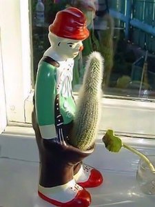 20068324_1971476379750184_1858747338_n.jpg (3972 просмотра) <a class='original' href='./download/file.php?id=116070&mode=view' target=_blank>Загрузить оригинал (39.05 КБ)</a>