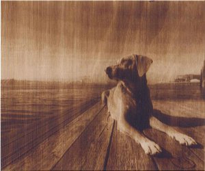 post-442782-1484740221_thumb.jpg (6117 просмотров) <a class='original' href='./download/file.php?id=116089&mode=view' target=_blank>Загрузить оригинал (32.42 КБ)</a>