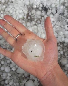 FB_IMG_1500184736725.jpg (15377 просмотров) <a class='original' href='./download/file.php?id=116124&mode=view' target=_blank>Загрузить оригинал (81.05 КБ)</a>