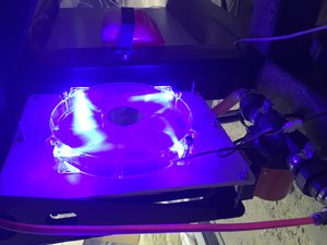 IMG_1197.JPG (2705 просмотров) <a class='original' href='./download/file.php?id=116908&mode=view' target=_blank>Загрузить оригинал (1.61 МБ)</a>