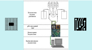 секвен.jpg (4175 просмотров) <a class='original' href='./download/file.php?id=117245&mode=view' target=_blank>Загрузить оригинал (200.41 КБ)</a>
