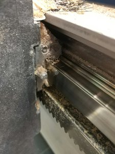 IMG_20170804_165659-2250x3000.jpg (2639 просмотров) <a class='original' href='./download/file.php?id=117493&mode=view' target=_blank>Загрузить оригинал (1.06 МБ)</a>