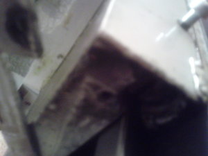 2013-02-10 19.44.45.jpg (3202 просмотра) <a class='original' href='./download/file.php?id=11803&mode=view' target=_blank>Загрузить оригинал (1.02 МБ)</a>