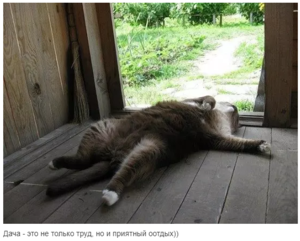 Screenshot - 15.08.2017 , 17_20_26.png (4166 просмотров) <a class='original' href='./download/file.php?id=118227&mode=view' target=_blank>Загрузить оригинал (426.32 КБ)</a>