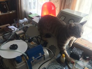 IMG_4290.JPG (6170 просмотров) <a class='original' href='./download/file.php?id=118256&mode=view' target=_blank>Загрузить оригинал (1.62 МБ)</a>