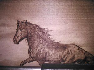 IMG_20170818_100815 копия.jpg (3708 просмотров) <a class='original' href='./download/file.php?id=118441&mode=view' target=_blank>Загрузить оригинал (13.88 МБ)</a>