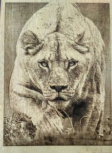 IMG_20170820_131631.jpg (4849 просмотров) <a class='original' href='./download/file.php?id=118605&mode=view' target=_blank>Загрузить оригинал (3.44 МБ)</a>