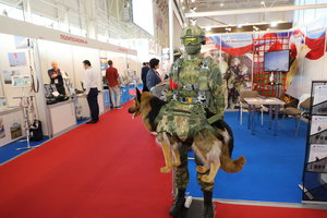 PS8A5150.JPG (18445 просмотров) <a class='original' href='./download/file.php?id=119181&mode=view' target=_blank>Загрузить оригинал (8.02 МБ)</a>