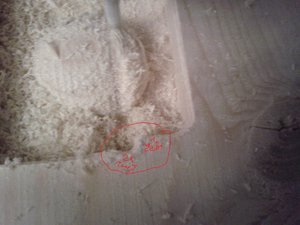 2013-02-14 16.42.51.jpg (2160 просмотров) <a class='original' href='./download/file.php?id=11943&mode=view' target=_blank>Загрузить оригинал (1.49 МБ)</a>