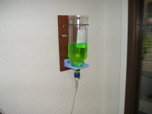 P2142475.JPG (11271 просмотр) <a class='original' href='./download/file.php?id=11953&mode=view' target=_blank>Загрузить оригинал (657.15 КБ)</a>