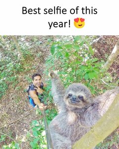 21463018_1774393919255879_7145654869406603923_n.jpg (4675 просмотров) <a class='original' href='./download/file.php?id=120114&mode=view' target=_blank>Загрузить оригинал (126.62 КБ)</a>