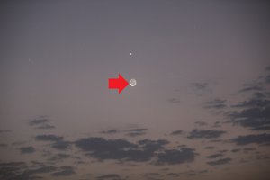 PS8A8340 — копия.JPG (6758 просмотров) <a class='original' href='./download/file.php?id=120503&mode=view' target=_blank>Загрузить оригинал (5.18 МБ)</a>