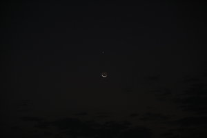 PS8A8343.JPG (6758 просмотров) <a class='original' href='./download/file.php?id=120504&mode=view' target=_blank>Загрузить оригинал (4.87 МБ)</a>