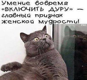 21557933_1602017779837470_4658128420104348284_n.jpg (3401 просмотр) <a class='original' href='./download/file.php?id=120646&mode=view' target=_blank>Загрузить оригинал (27.4 КБ)</a>