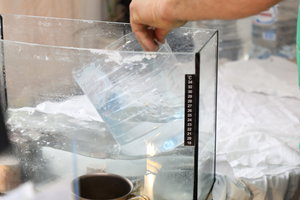 PS8A7947.JPG (10163 просмотра) <a class='original' href='./download/file.php?id=120842&mode=view' target=_blank>Загрузить оригинал (5.79 МБ)</a>