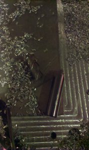 IMAG0058.jpg (5686 просмотров) <a class='original' href='./download/file.php?id=121096&mode=view' target=_blank>Загрузить оригинал (404.46 КБ)</a>