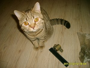 Изображение 002.jpg (7842 просмотра) <a class='original' href='./download/file.php?id=12177&mode=view' target=_blank>Загрузить оригинал (412.36 КБ)</a>