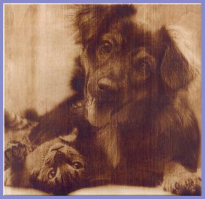 post-442782-1484620368_thumb.jpg (4400 просмотров) <a class='original' href='./download/file.php?id=122104&mode=view' target=_blank>Загрузить оригинал (36.13 КБ)</a>