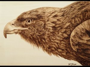 123456.jpg (2841 просмотр) <a class='original' href='./download/file.php?id=122138&mode=view' target=_blank>Загрузить оригинал (39.79 КБ)</a>