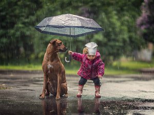 22219867_1185971014869126_2008624540848013450_o.jpg (5120 просмотров) <a class='original' href='./download/file.php?id=122250&mode=view' target=_blank>Загрузить оригинал (188.49 КБ)</a>