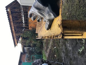 IMG_8952-02-11-17-04-39.JPG (2033 просмотра) <a class='original' href='./download/file.php?id=123640&mode=view' target=_blank>Загрузить оригинал (3.54 МБ)</a>