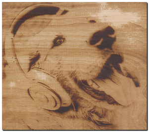 собака.png (3637 просмотров) <a class='original' href='./download/file.php?id=124117&mode=view' target=_blank>Загрузить оригинал (6.07 МБ)</a>