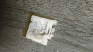 DSC_0113.JPG (4270 просмотров) <a class='original' href='./download/file.php?id=124672&mode=view' target=_blank>Загрузить оригинал (867.38 КБ)</a>